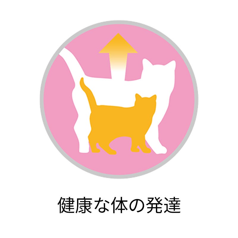 1歳までの子ねこ用/妊娠・授乳期の母猫用 サーモン＆ツナ - ピュリナ
